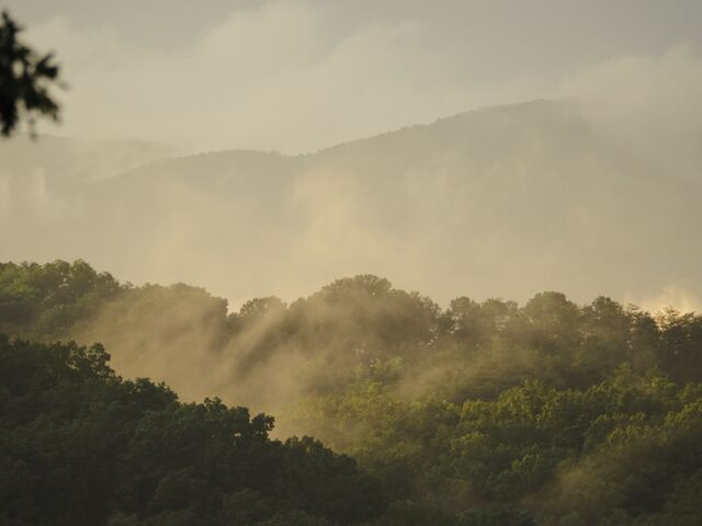 Sample (Misty Mountains)