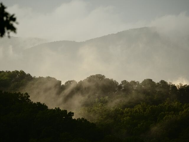 Sample (Misty Mountains)