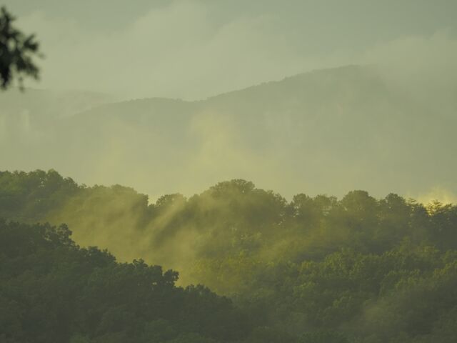 Sample (Misty Mountains)