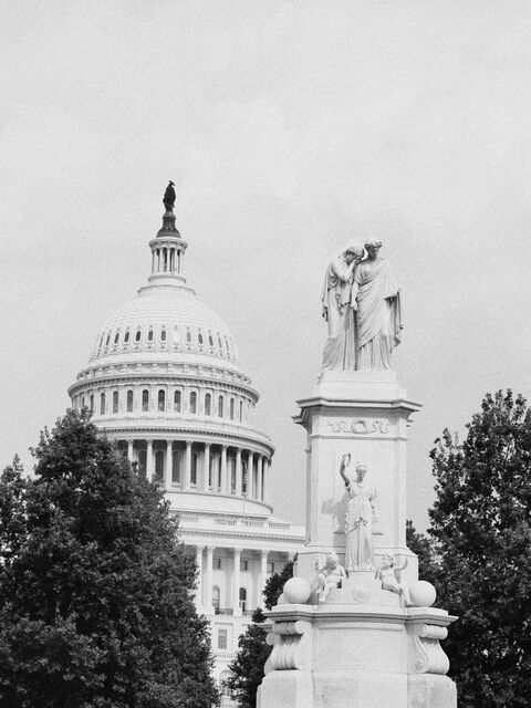 Sample (Peace Memorial)