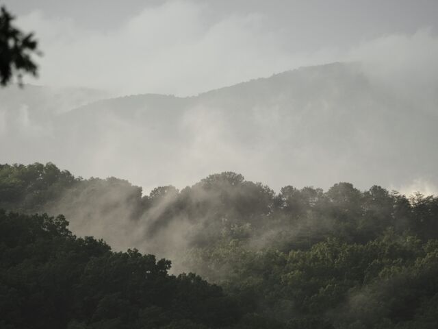 Sample (Misty Mountains)
