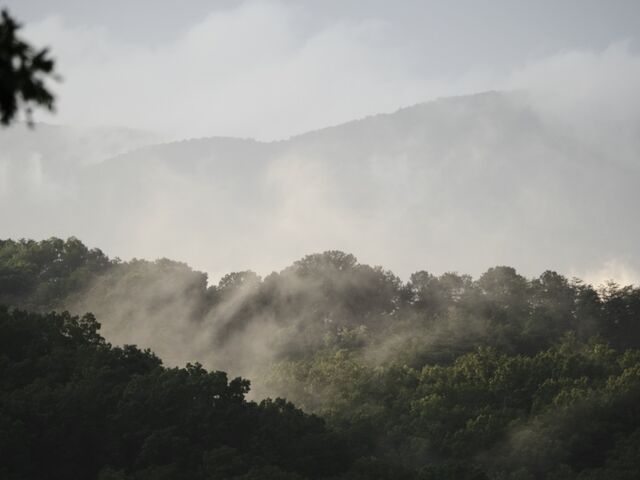 Sample (Misty Mountains)
