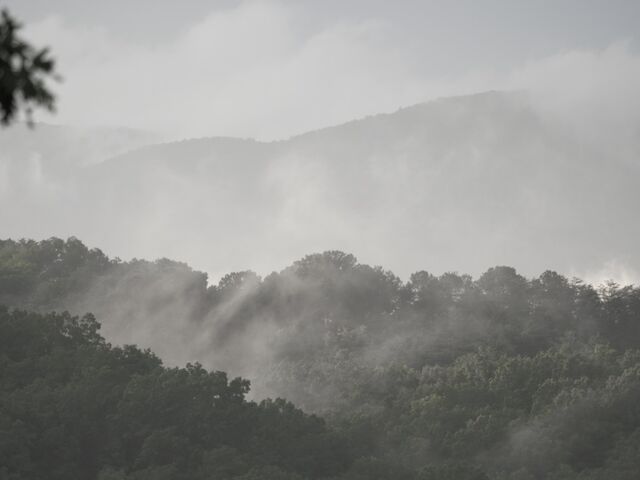 Sample (Misty Mountains)