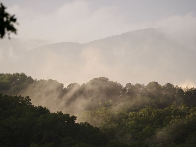 Sample (Misty Mountains)