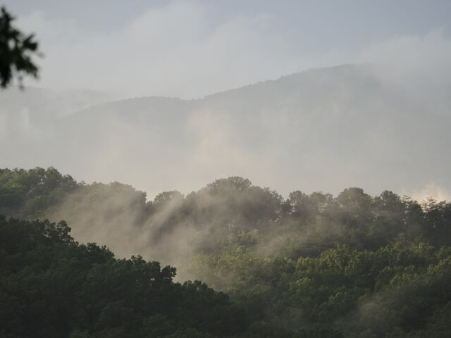 Sample (Misty Mountains)