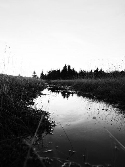 Sample (Dolly Sods Sunrise)
