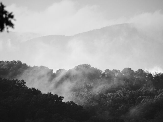 Sample (Misty Mountains)
