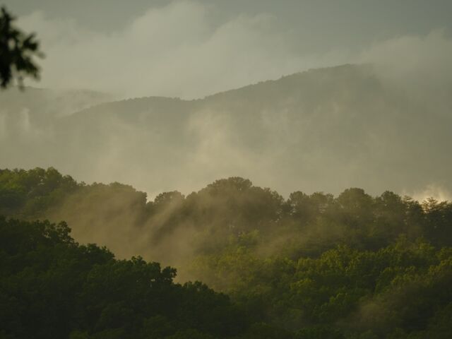 Sample (Misty Mountains)