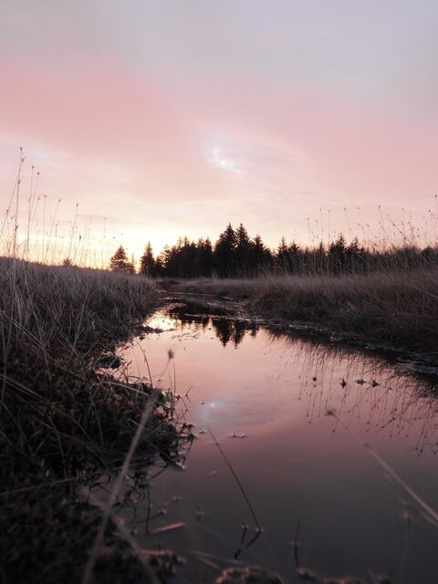 Sample (Sodssunrise)